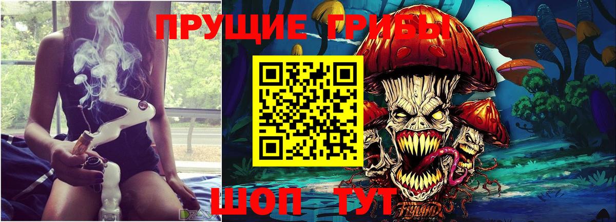 Зима  Галлюциногенные грибы MAGIC MUSHROOMS  Вход с VPN  Псилоцибиновые грибы Cubensis 